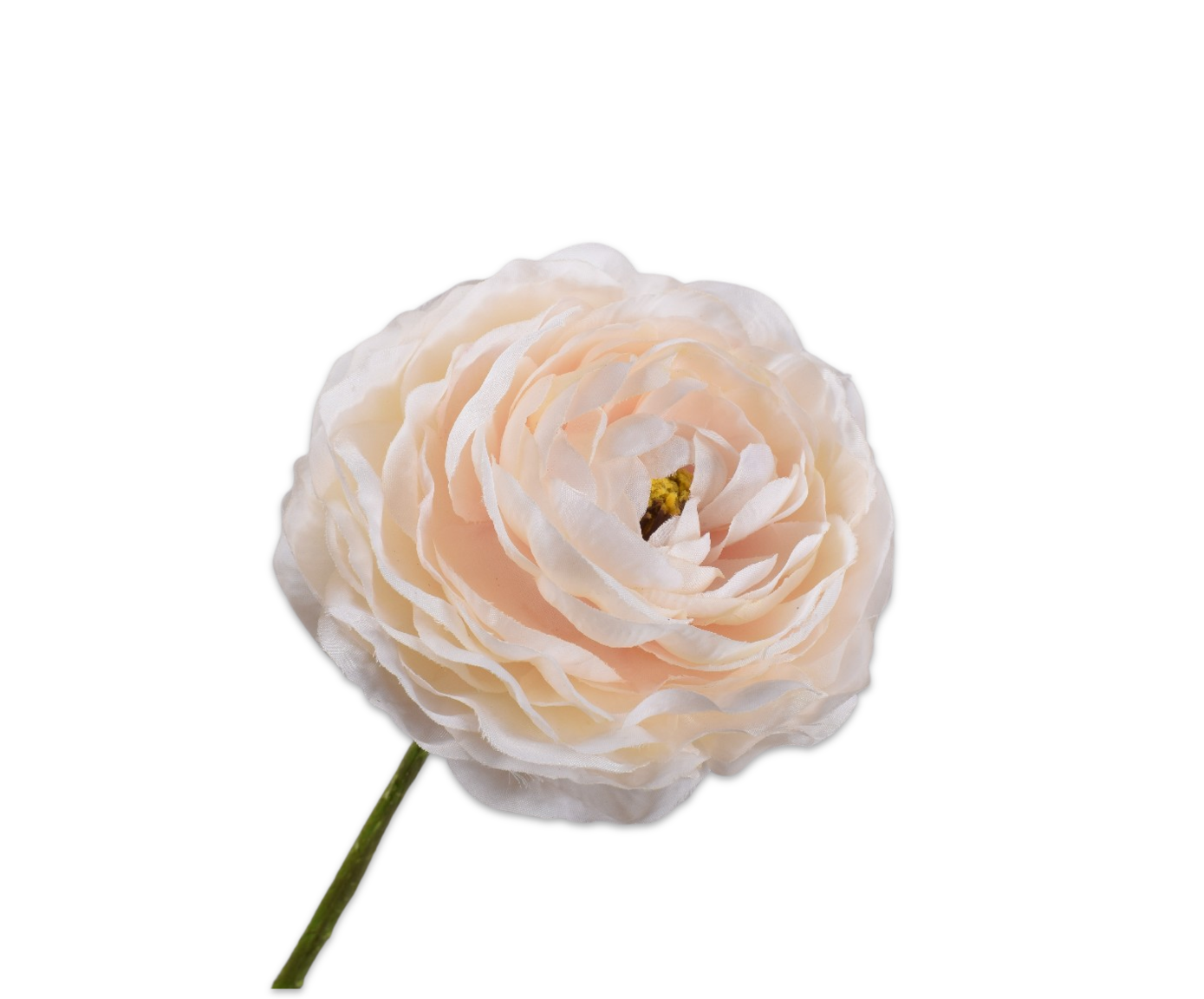 160434 Ranunculus cream 55cm prémium holland selyem boglárka