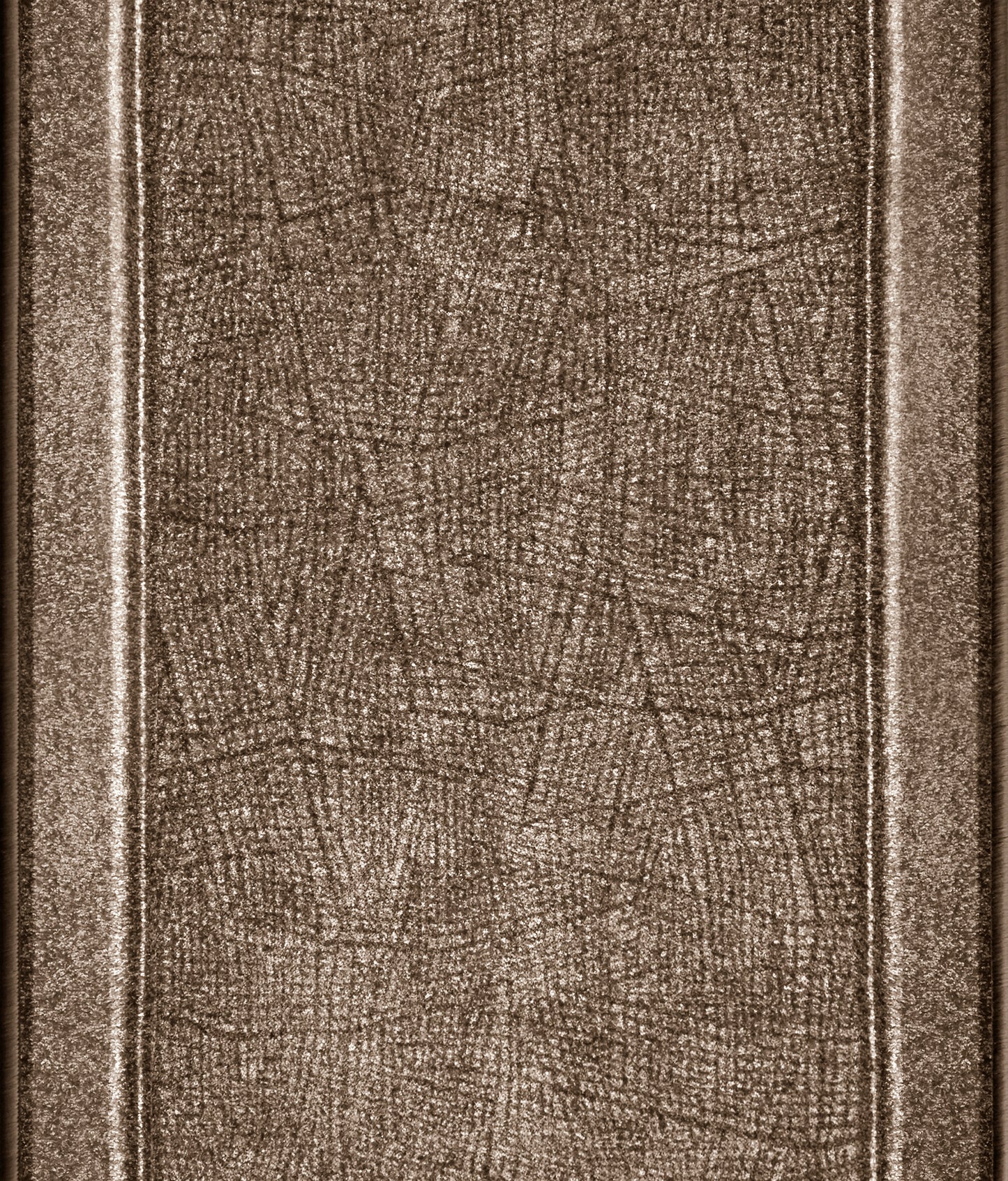border beige_felulnezeti kepe