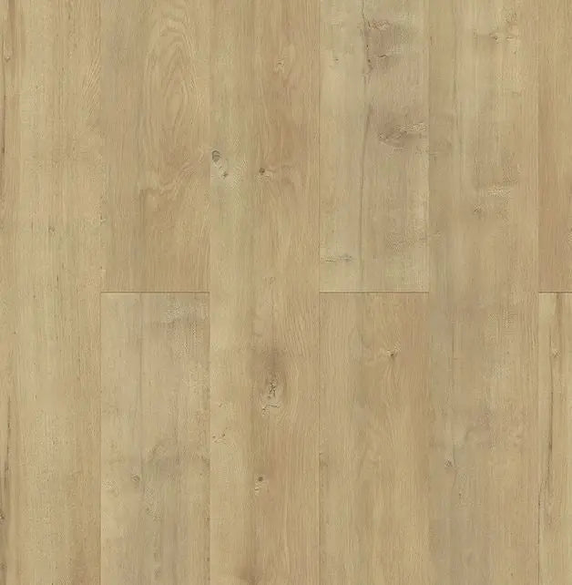 Domino Acoustic Reed SPC