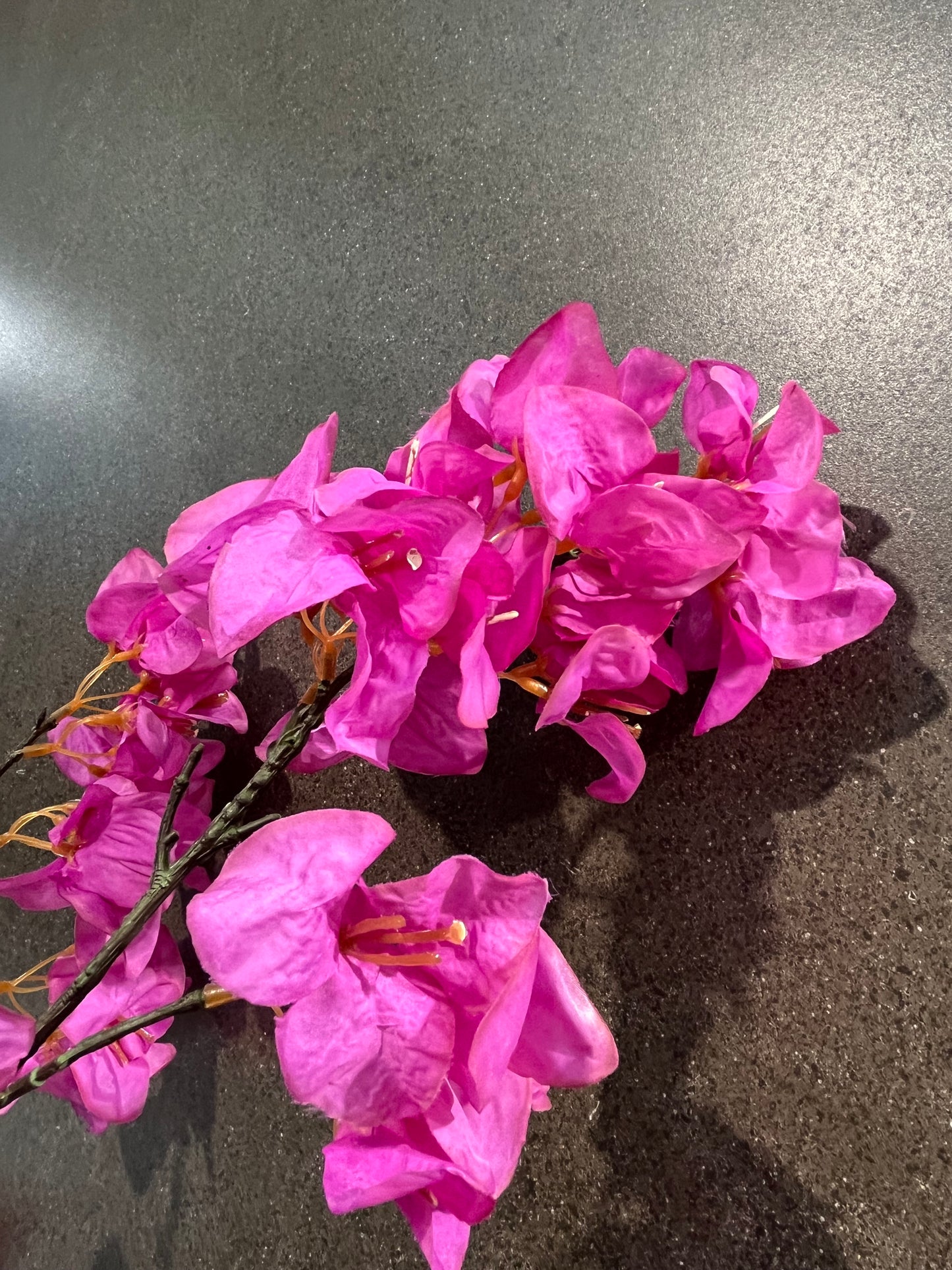 magenta viragcs