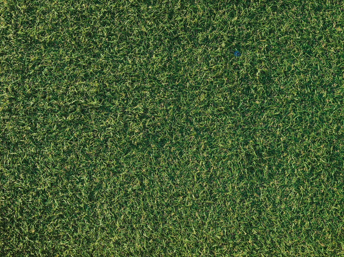 A műfű takarítása - Szőnyegszalon