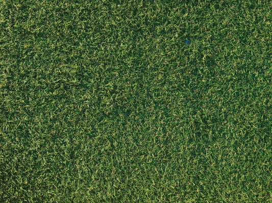 A műfű takarítása - Szőnyegszalon