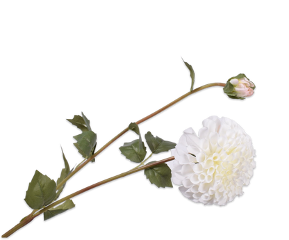 134500 dahlia fehér 80 cm a tisztaság, az elegancia és a kifinomultság jelképe.