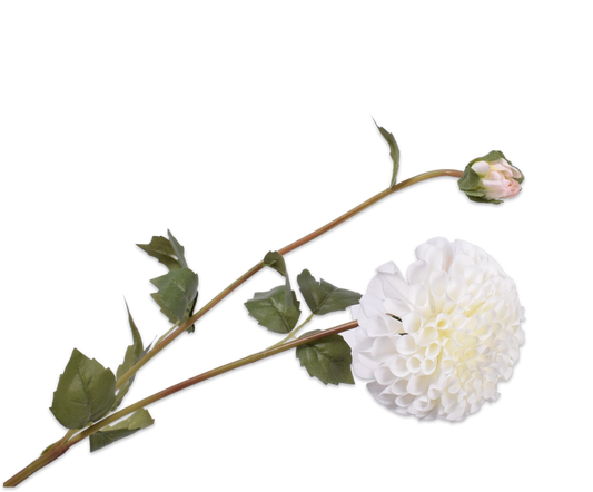 134500 dahlia fehér 80 cm a tisztaság, az elegancia és a kifinomultság jelképe. silk-ka Szőnyegszalon