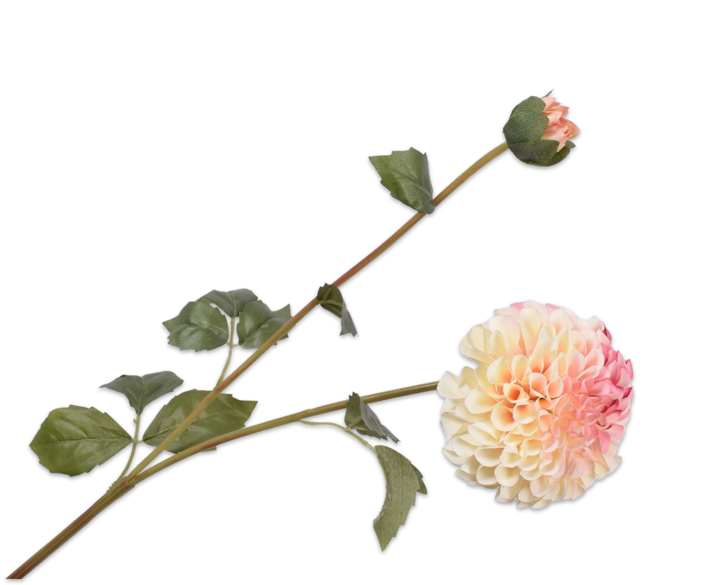 134501 dahlia pink 80 cm színátmenetével romantikus és elegáns megjelenést kölcsönöz bármely térnek.