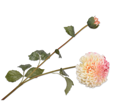 134501 dahlia pink 80 cm színátmenetével romantikus és elegáns megjelenést kölcsönöz bármely térnek.