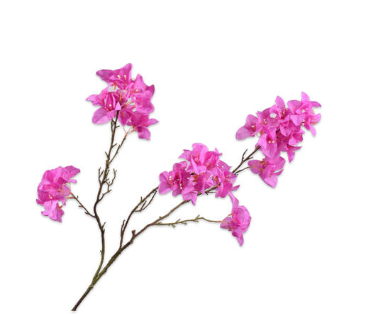 Trópusi elegancia, amely egész évben virágba borítja otthonát. 138890 Bougainvillea Beauty 104cm