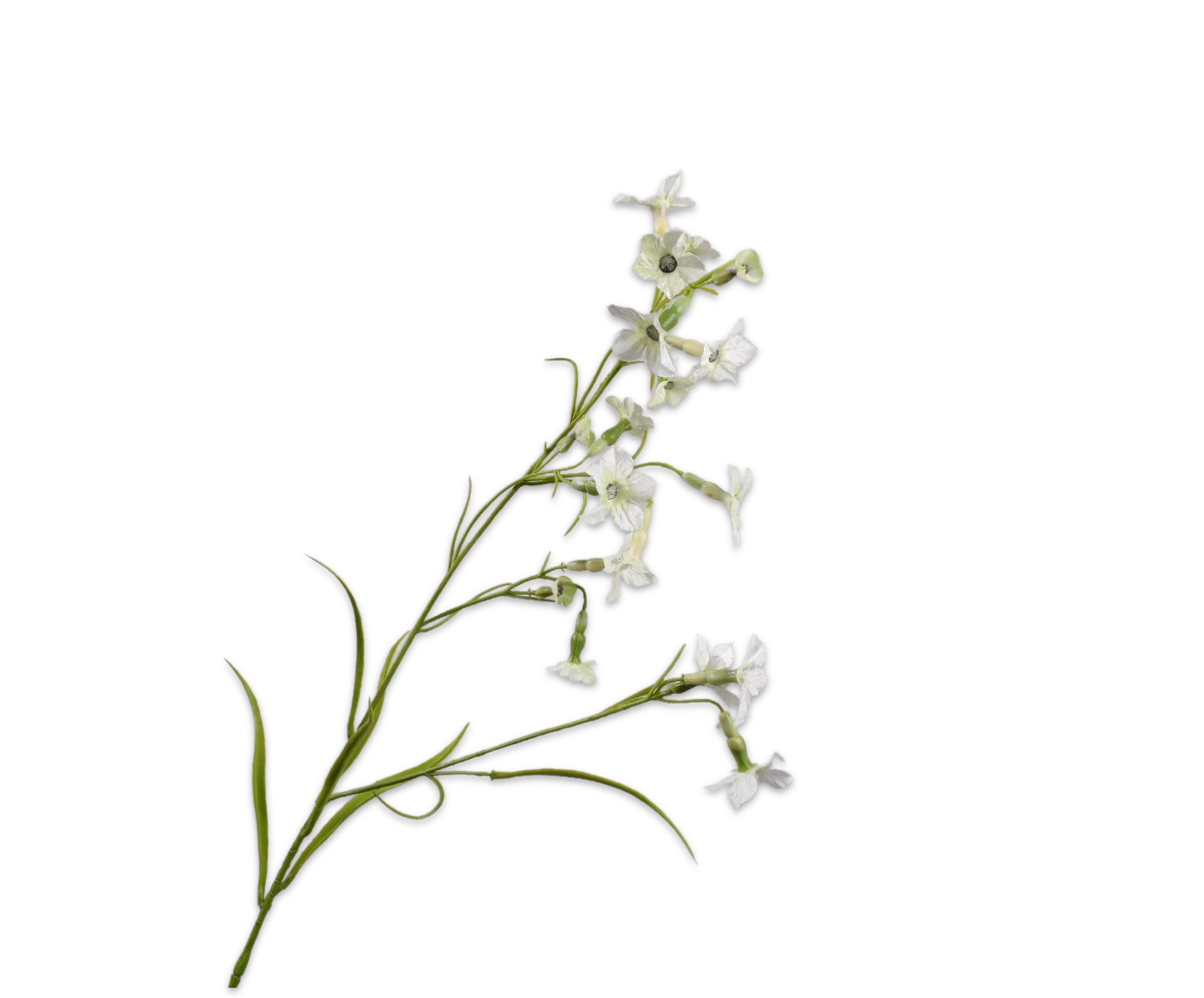 149322 Nicotiana Cream 78cm selyem díszdohány ág finom krémfehér virágaival könnyedséget és kifinomult eleganciát visz bármely enteriőrbe.