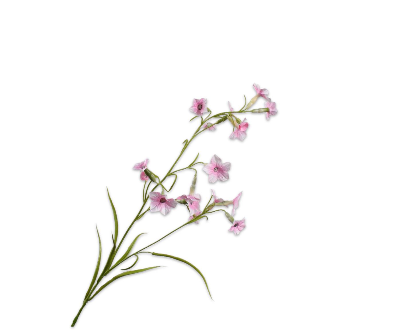 149323 Nictotiana Pink 78cm selyem díszdohány ág finom púderrózsaszín virágaival könnyedséget, frissességet és természetes eleganciát visz minden térbe.