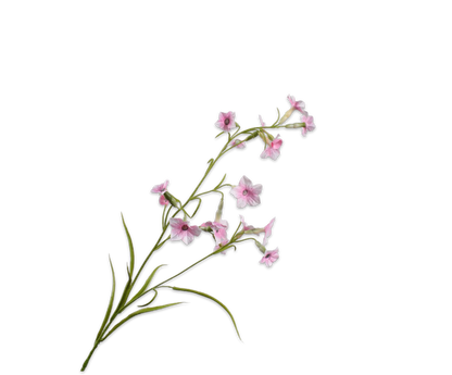 149323 Nictotiana Pink 78cm selyem díszdohány ág finom púderrózsaszín virágaival könnyedséget, frissességet és természetes eleganciát visz minden térbe.