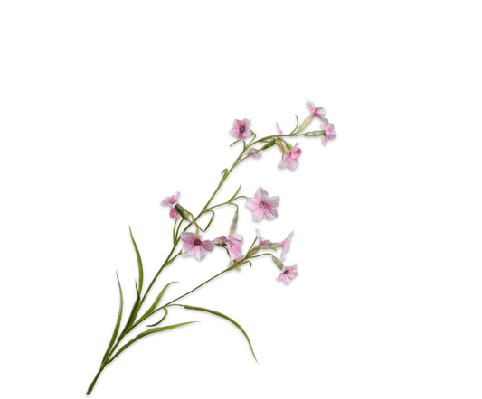 149323 Nictotiana Pink 78cm selyem díszdohány ág finom púderrózsaszín virágaival könnyedséget, frissességet és természetes eleganciát visz minden térbe. silk-ka Szőnyegszalon