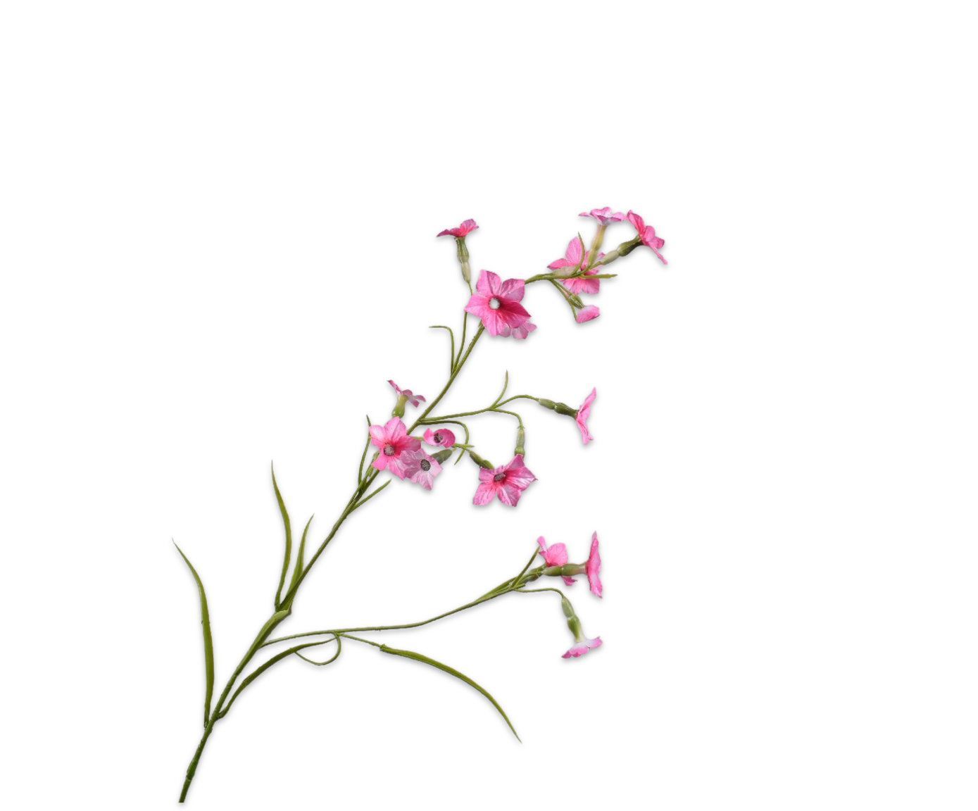 149324 Nicotiana Pink LT 78cm prémium holland selyem díszdohány ág a természet könnyedségét és a modern lakberendezés kifinomultságát ötvözi.