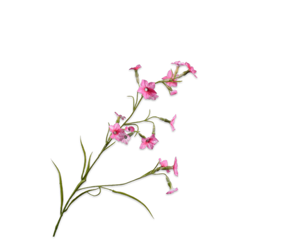 149324 Nicotiana Pink LT 78cm prémium holland selyem díszdohány ág a természet könnyedségét és a modern lakberendezés kifinomultságát ötvözi.