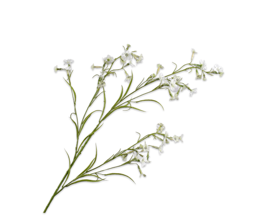 149325 Nicotiana cream 117cm a fehér díszdohány ág légies megjelenésével és apró, csillag alakú virágaival finom eleganciát sugároz. silk-ka Szőnyegszalon