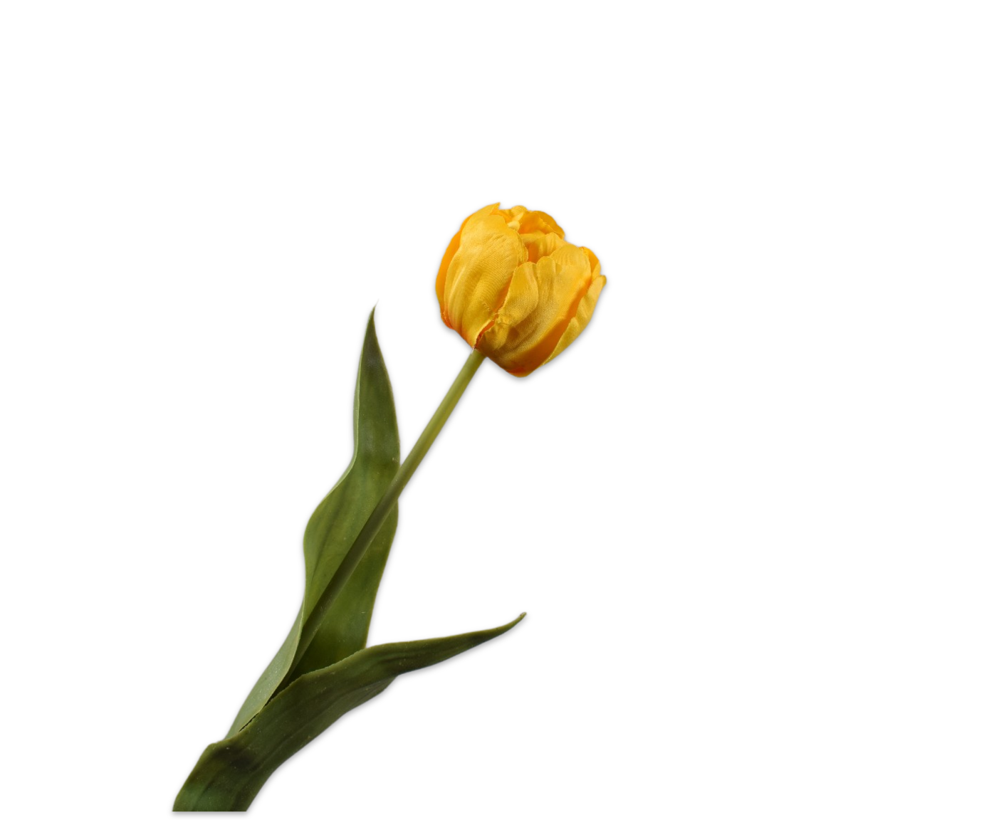 A napfény ragyogása, amely minden nap mosolyt csal az otthonába. 157082 Tulip Stem Yellow 47cm