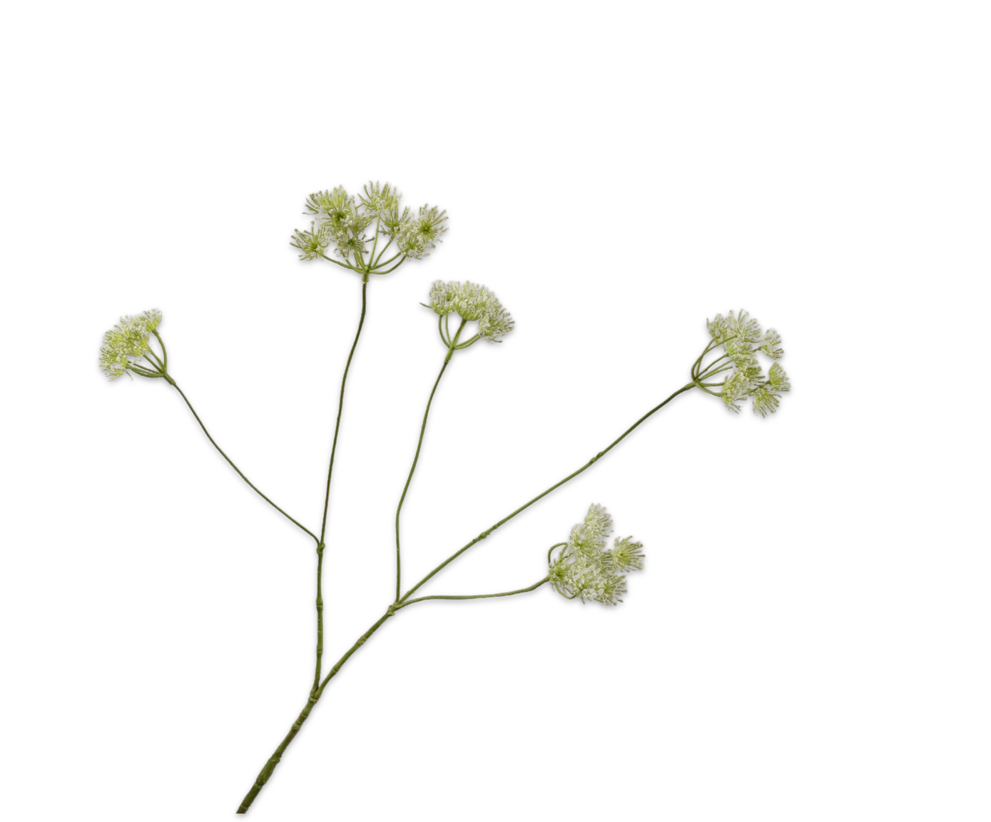 A természet finom eleganciája minden enteriőrben. 160307 Queen an lace fehér 83cm