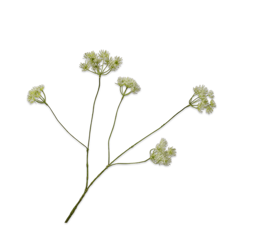 A természet finom eleganciája minden enteriőrben. 160307 Queen an lace fehér 83cm