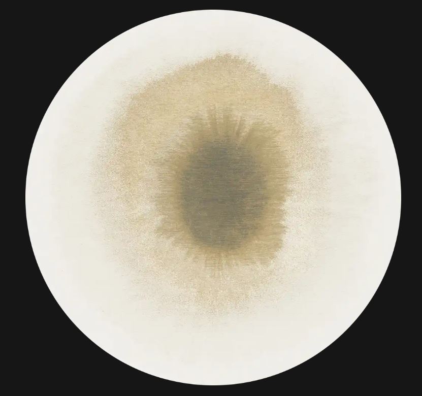 Drop  Fawn 2103 modern síkszövött szőnyeg