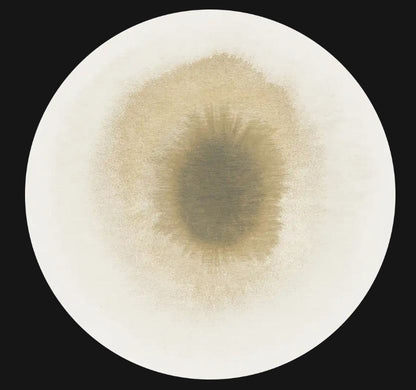 Drop  Fawn 2103 modern síkszövött szőnyeg