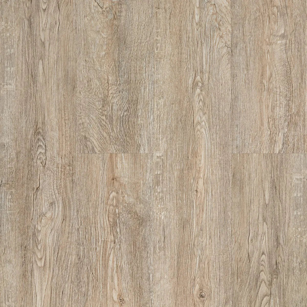 Domino Acoustic Lannister SPC