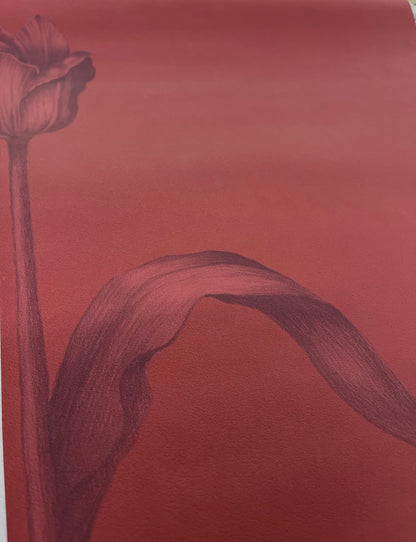Mély terrakotta tulipán mintás tapéta