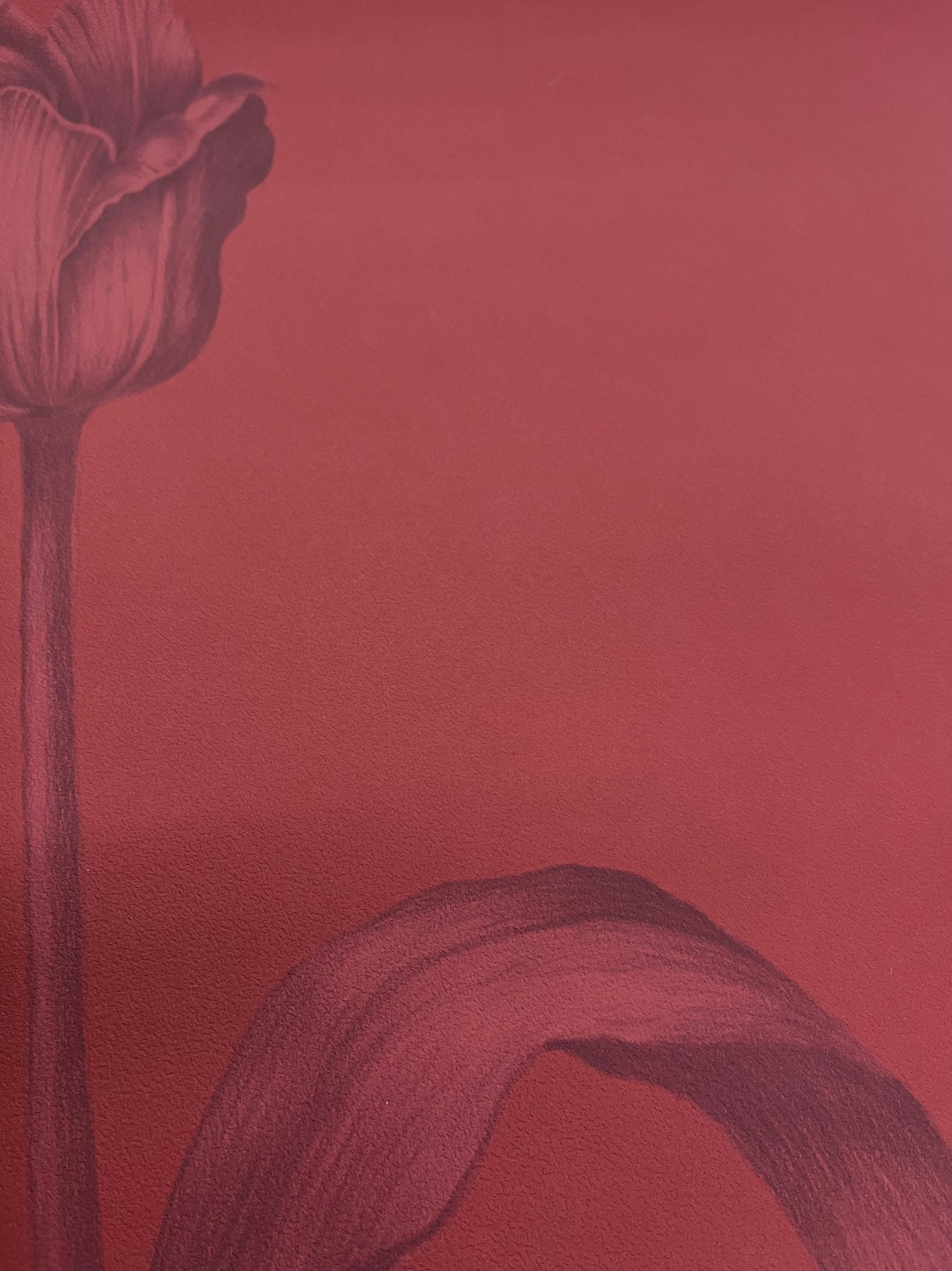 Mély terrakotta tulipán mintás tapéta